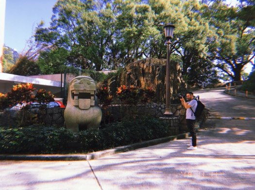 Billy Potts photographs Rodolfo Nolli's lions at High West at HKU